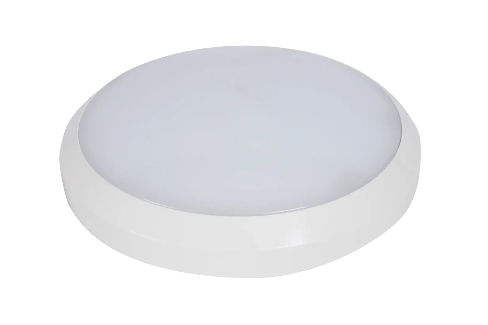 EAGLE Large Emergency 24W LED with P...REEL02440E-01 | ROBUS