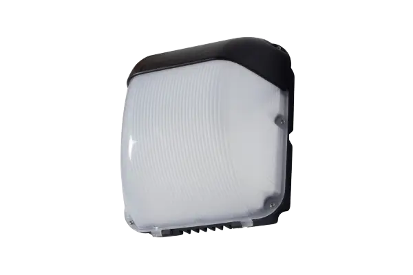 FALCON 50W LED Wall Light