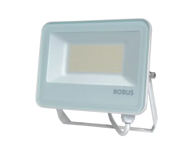 SELEST PLUS 30W/50W Floodlight IP65 CCT3 White c/w 1m Flex