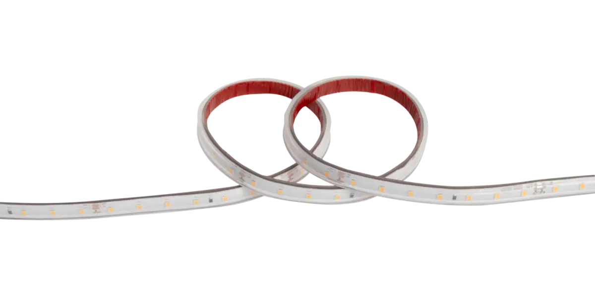 VEGAS EVERYDAY Strip 4.8W/m 24V LED S...RVE3K655 | ROBUS